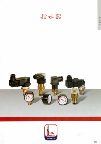 ����ָʾ��